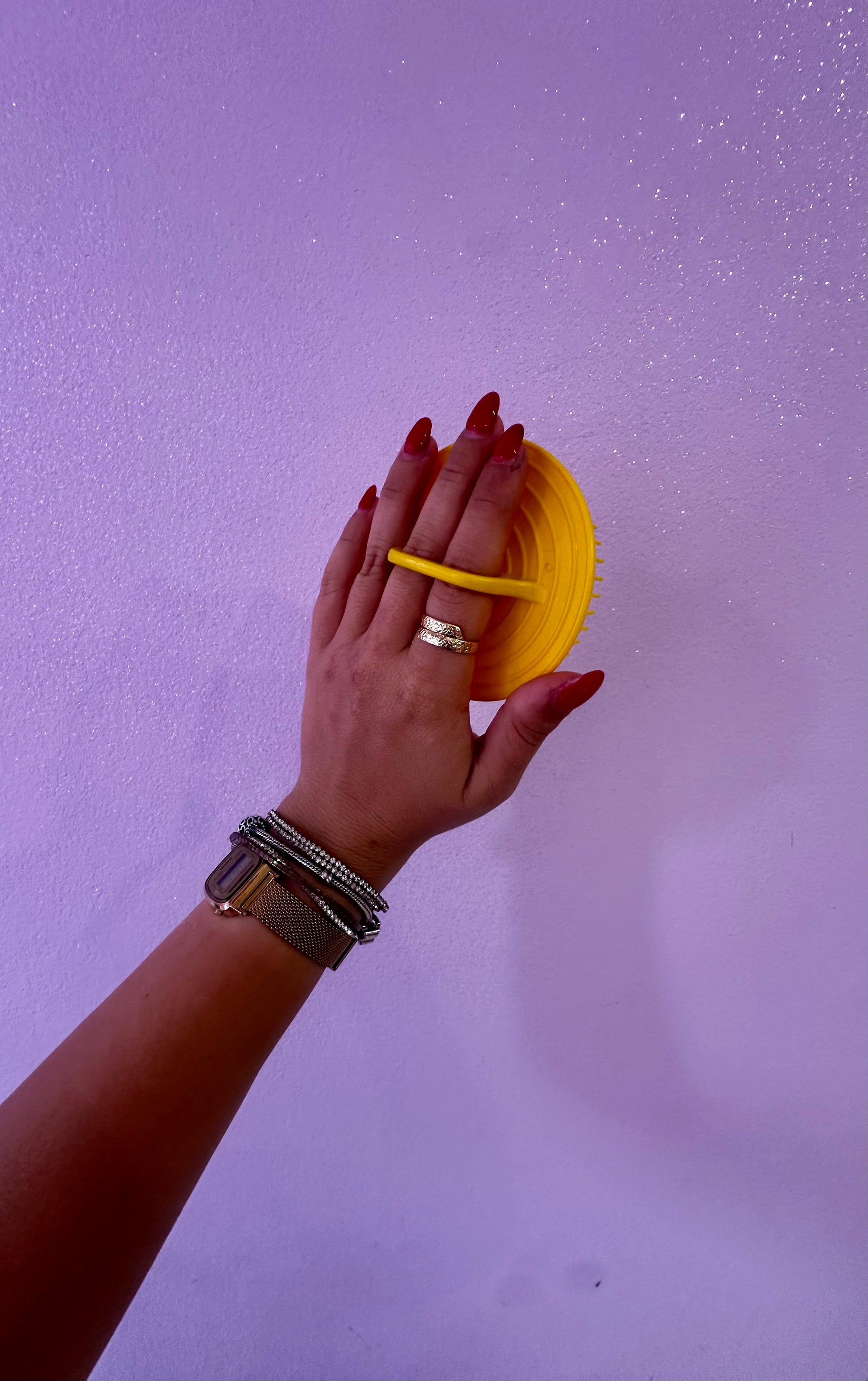 Spazzola scioglinodi