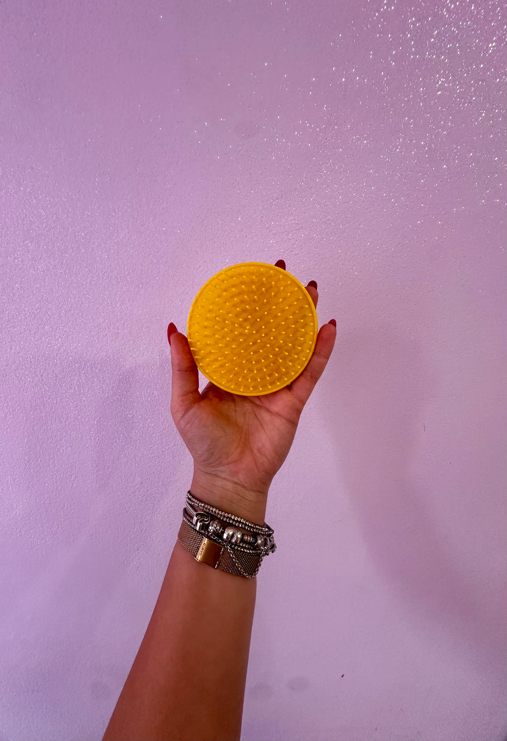 Spazzola scioglinodi