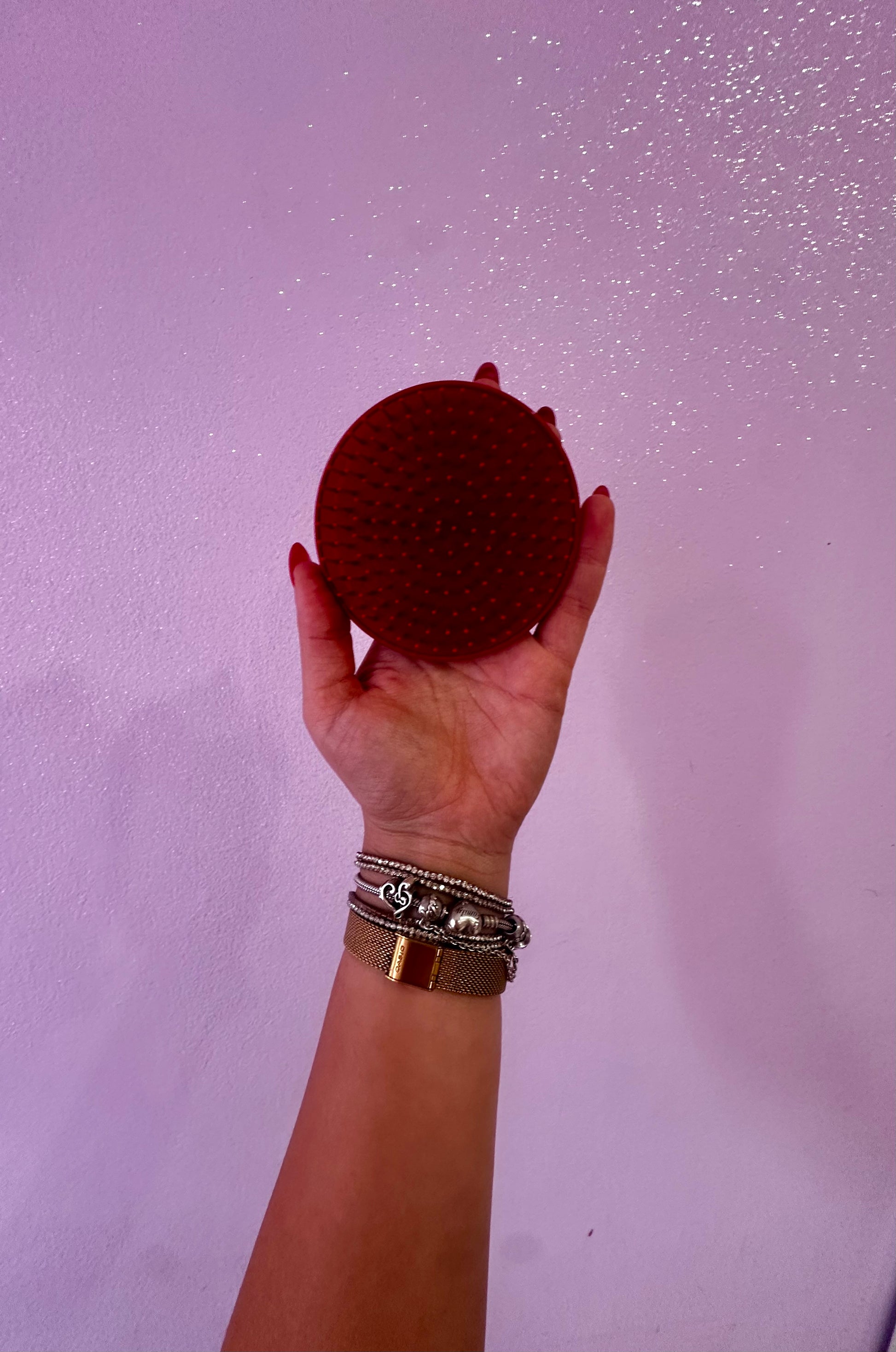 Spazzola scioglinodi